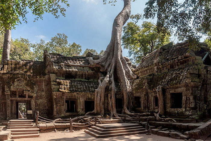 Templo Ta Promh en Camboya