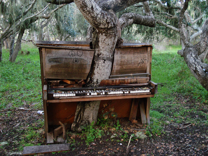 El viejo árbol del piano