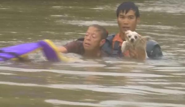 woman-and-dog-rescued-from-flooded-louisiana-street-59a456f2540f0.jpg