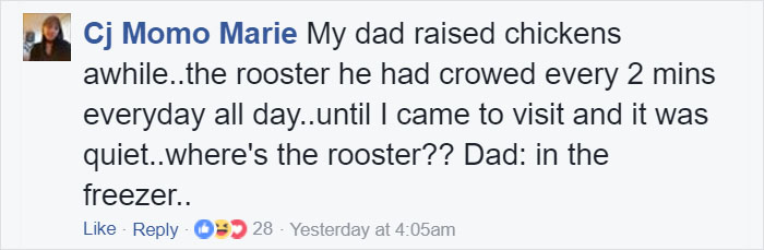 Desperate Woman Is Giving Away Her ‘A**HOLE ROOSTER’, And Her Post Will Make You Laugh Out Loud