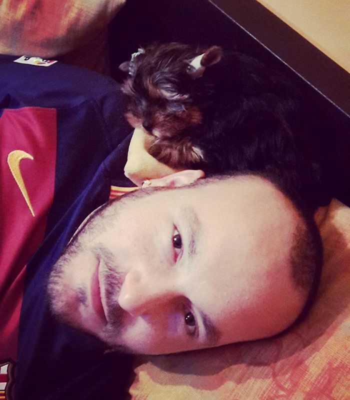 Oskar's First Night At Home, He Still Loves To Sleep On My Husband's Head