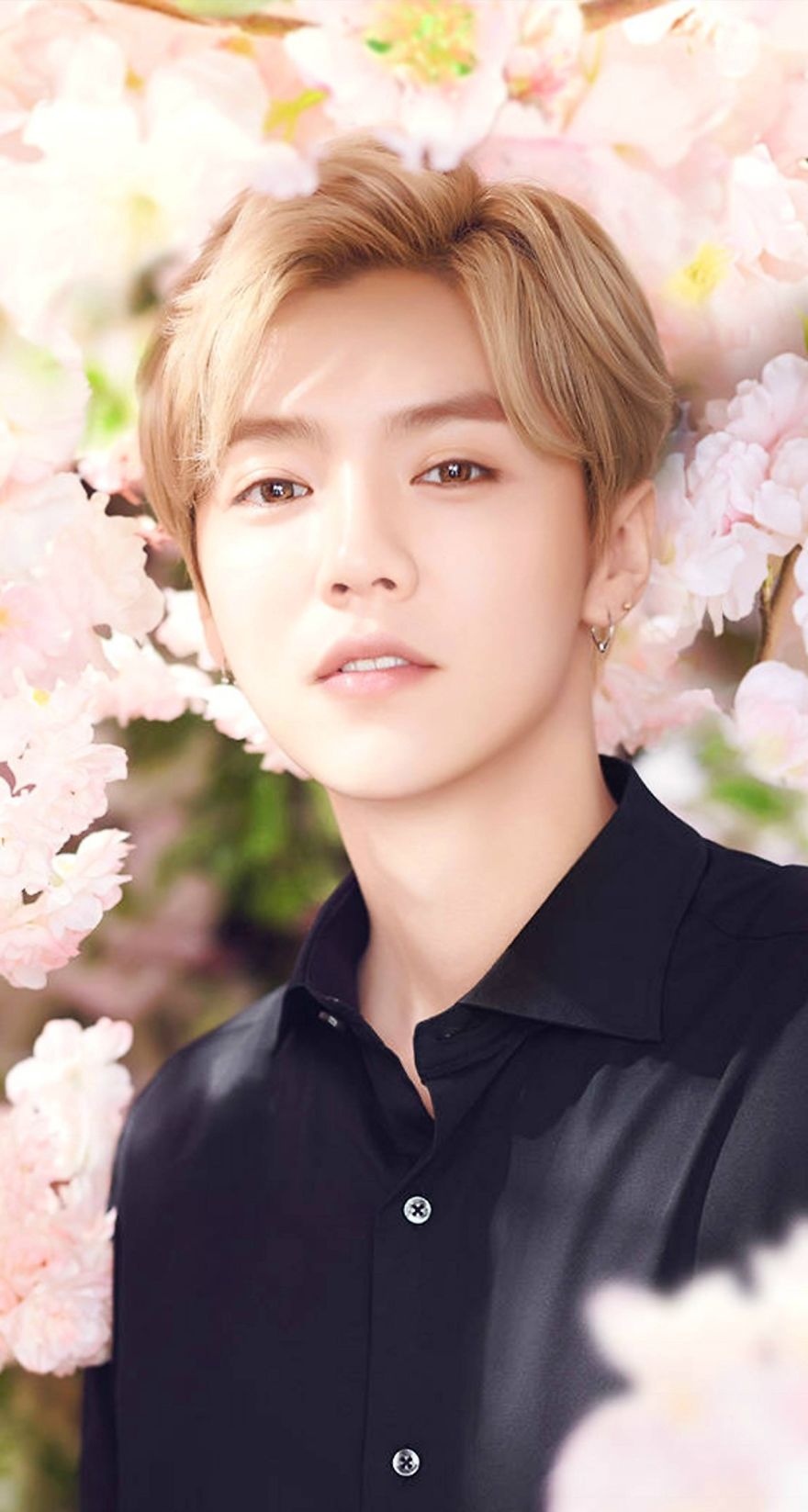 Most Beautiful Human Being