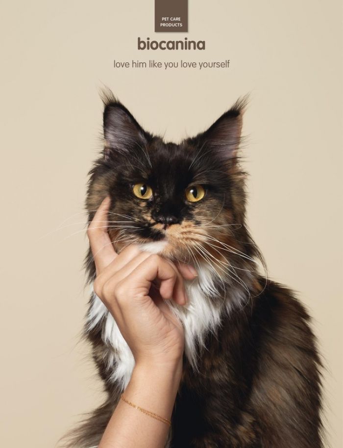 20+ Brilliant Ads You'll Want To Plagiarize (But You Won't!)