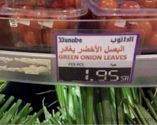 "Green onion leaves" translated in arabic 