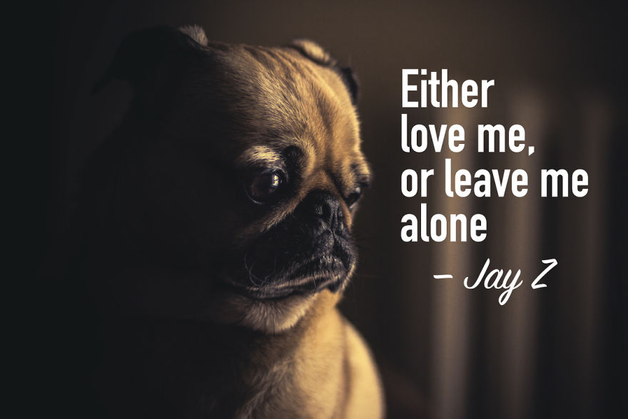 5 Hard-Hitting 'Pug Life' Quotes You Need To Hear 🐶