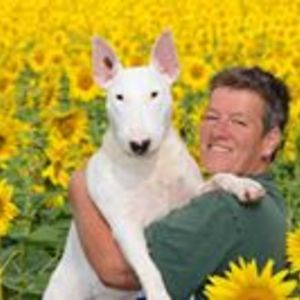 photography_9 avatar