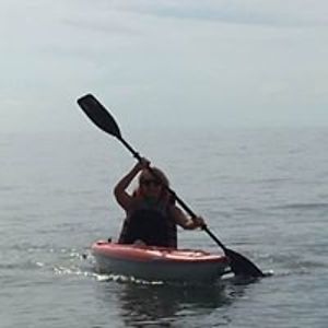 hummingbird164 avatar