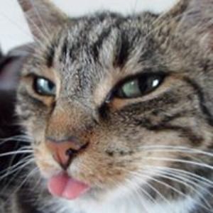 ratcliffevictoria avatar