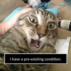 annaislaughing avatar