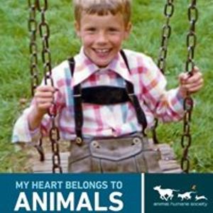 stefan_wandel avatar