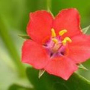 edward_kimble avatar