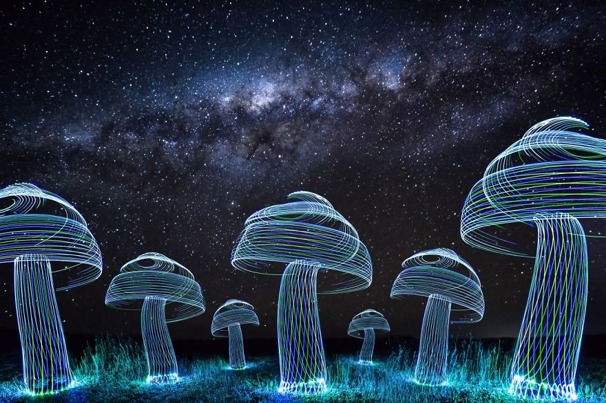 I Used Some Led Lights To Spin A Forest Of Mushrooms Under The Milky Way