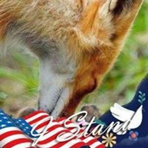 fellers_tracy avatar