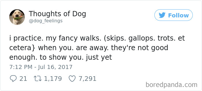 Dog Thoughts
