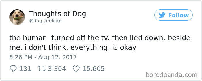 Dog Thoughts