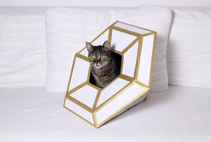 I Made This Diamond Shape Cat House