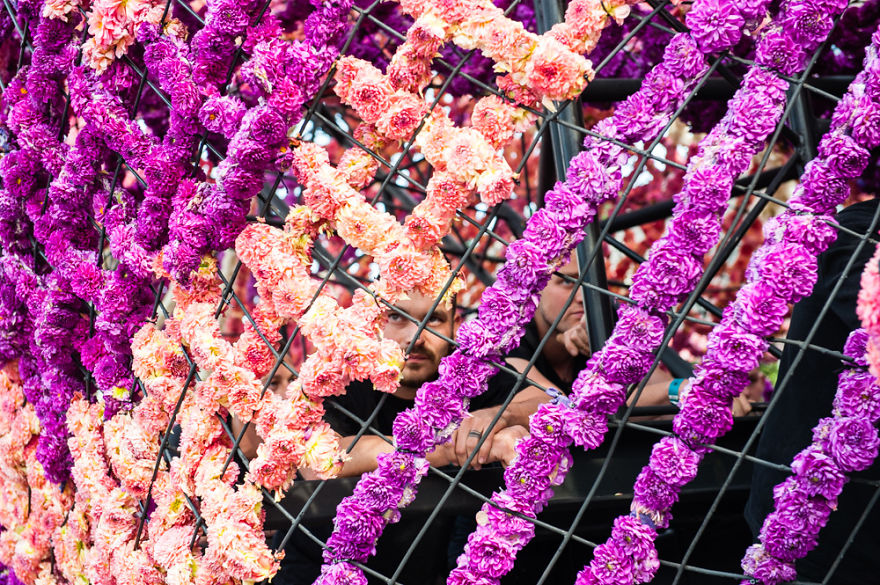 Every Year Corso Zundert, The Largest Flower Parade In The World, Occurs In The Netherlands