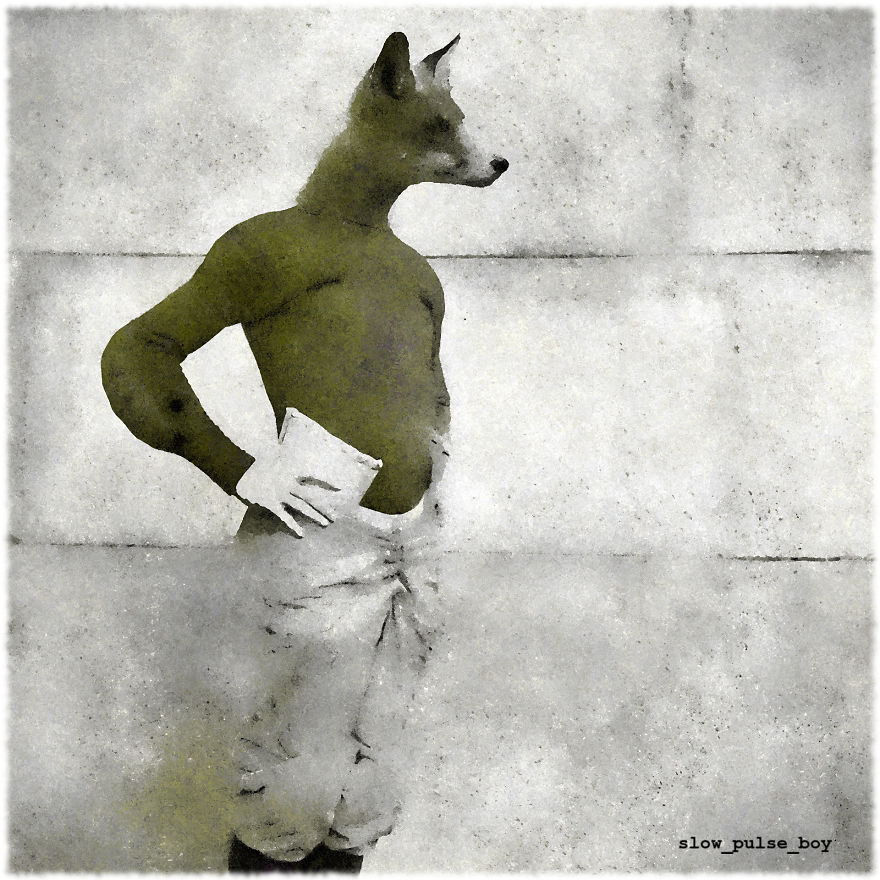 Le Renard