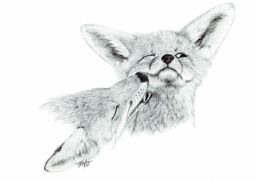 I Draw Animals With A Mechanical Pencil