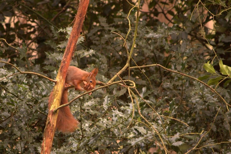 I Want To Show The Beauty Of The Veluwe....