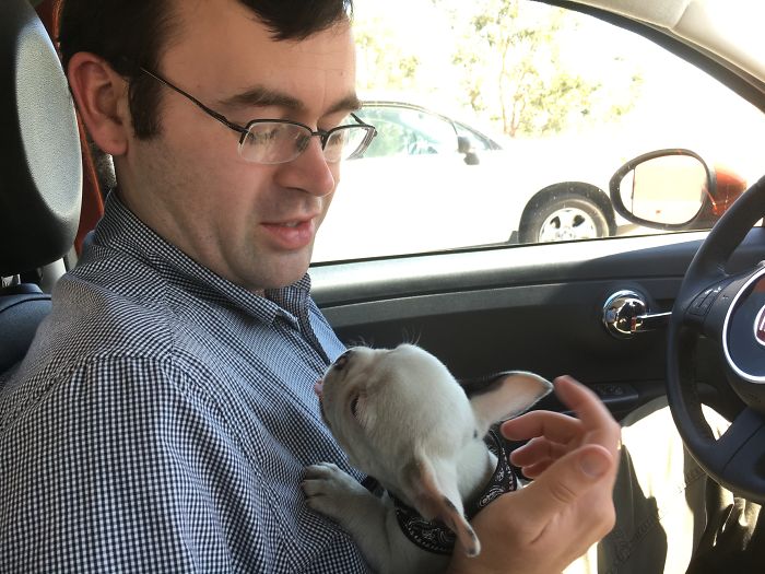 Husband Meeting Puppy Eddie For The First Time...