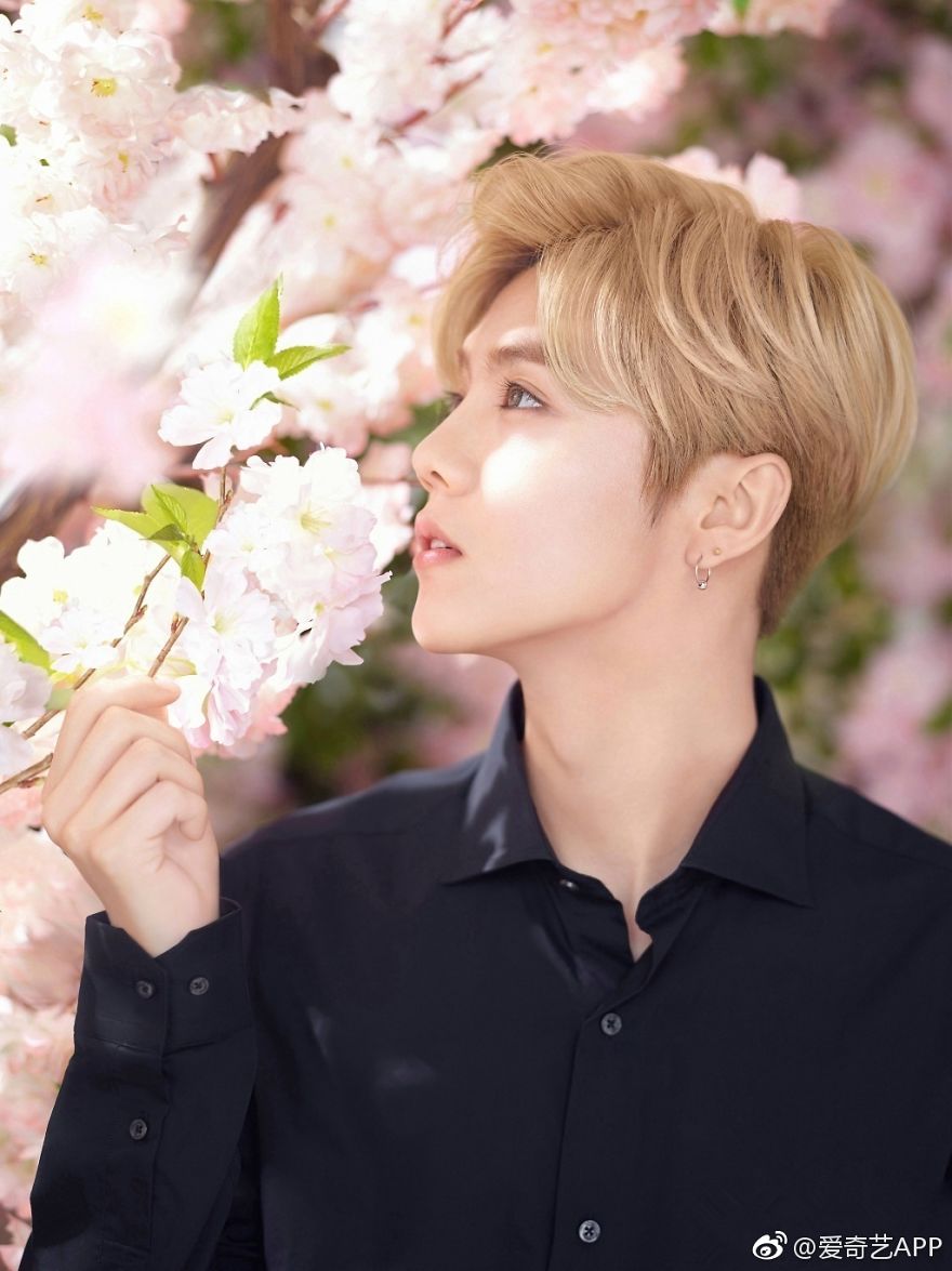 Most Beautiful Human Being