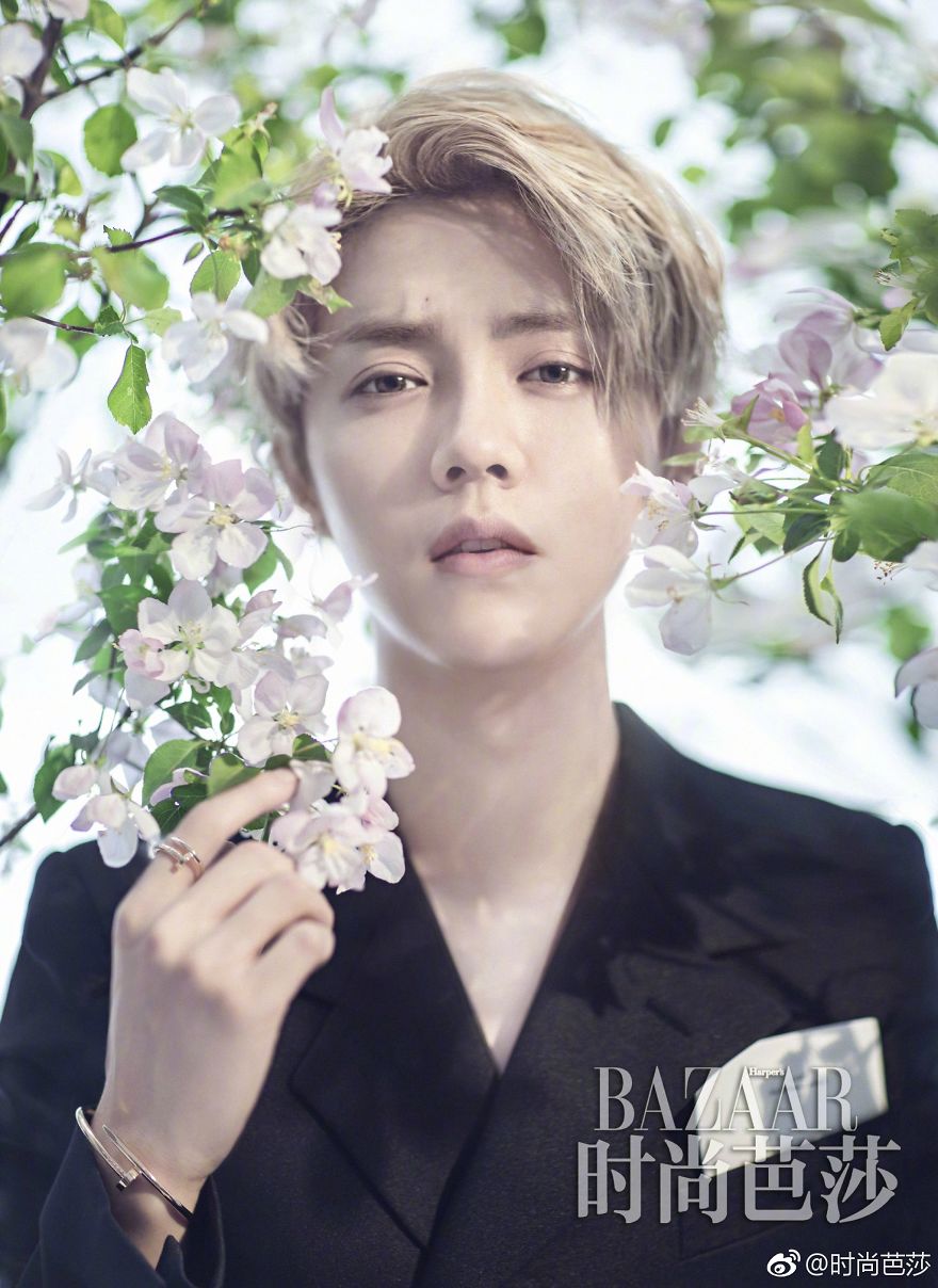 Most Beautiful Human Being