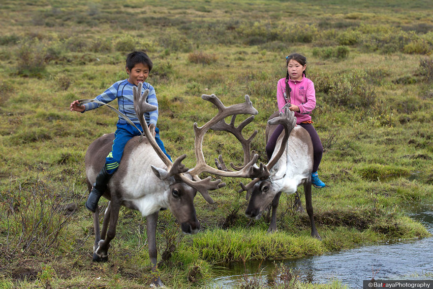 I Took Photos Of Adorable Kids With Their Reindeer In The Remote Taiga Mountains Of Mongolia
