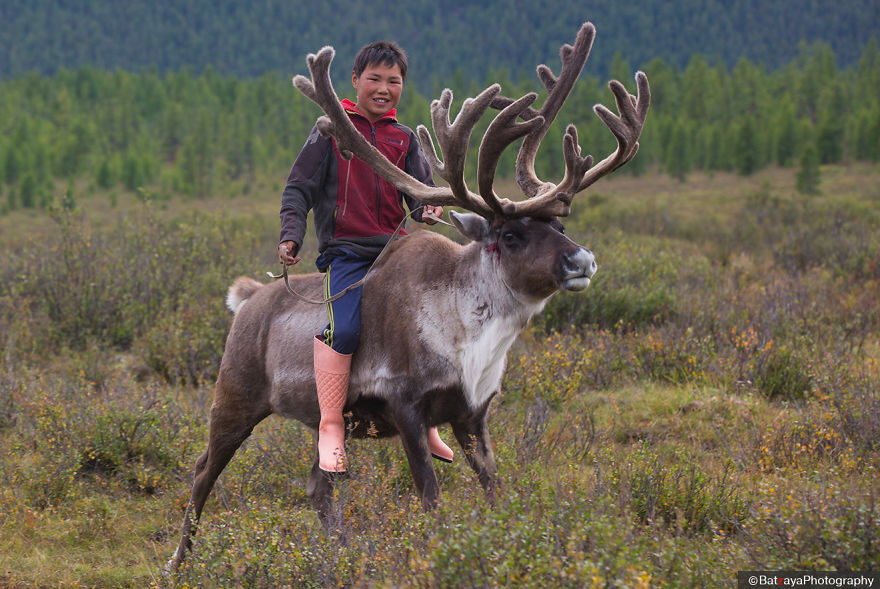 I Took Photos Of Adorable Kids With Their Reindeer In The Remote Taiga Mountains Of Mongolia