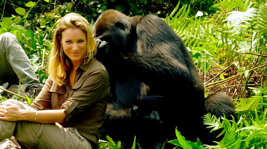 This Man Took His Wife To See Wild Gorillas And What Happened Is Amazing