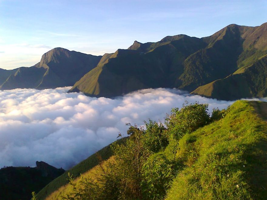 Stars Coming Down Or Are We Reaching Out For The Clouds? Riveting Meesapulimala Trek Stars Coming Down Or Are We Reaching Out For The Clouds? Riveting Meesapulimala Trek