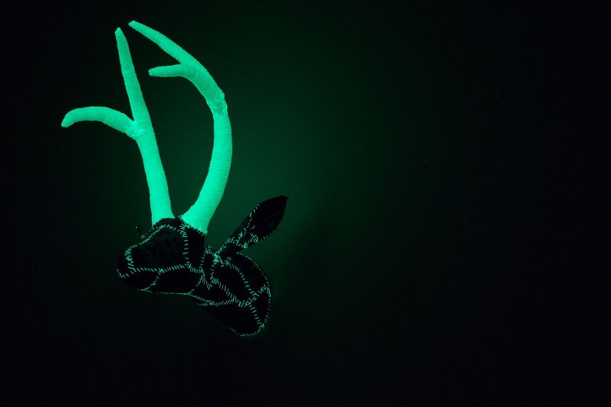 Hand-Sewn Glow-In-The-Dark Creatures