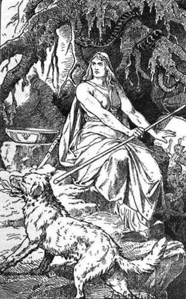 The Divinity Of Dogs The Divinity Of Dogs