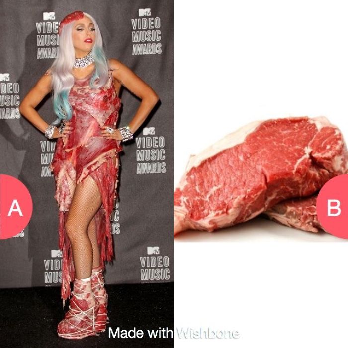 Top 10
funniest Who Wore It Better Pictures