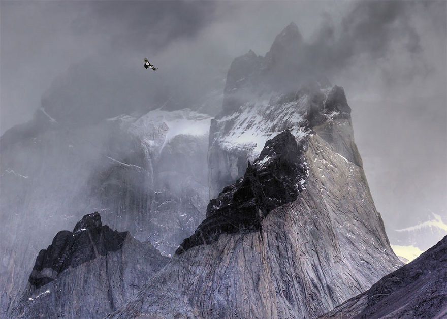 Andean Condor In Flight Over Mountain Peaks By Ben Hall, Uk. Gold Award Winner In The Birds In The Environment Category