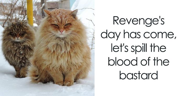 Twitter Account Pairs Cat Pics With Metal Lyrics And It’s Just Perfect
