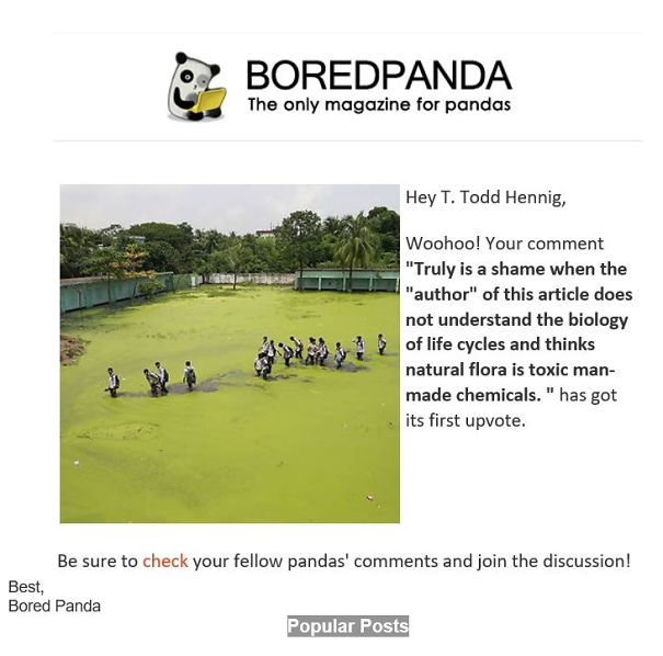 bored-panda-critique-59a9ed5ae6ff5.jpg