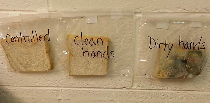 Genius Teacher's 'Bread Trick' Shows Kids Why They Need To Wash Hands, And It's Disgustingly Brilliant