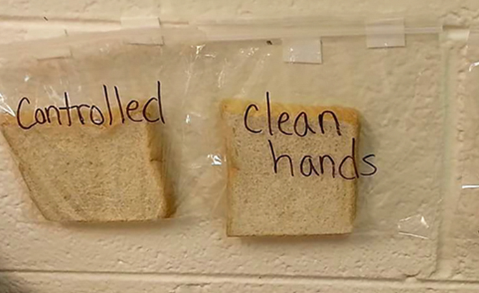 Genius Teacher’s ‘Bread Trick’ Shows Kids Why They Need To Wash Hands, And It’s Disgustingly Brilliant