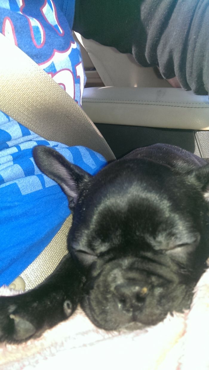 Knocked Out On The Ride Home