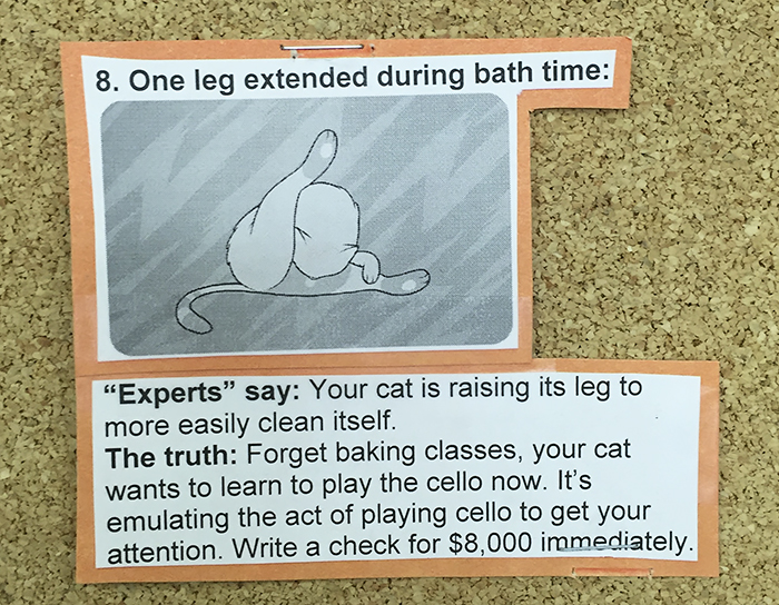 This Vet Put Explanations Of 15 Common Cat Behaviours On His Cork Board, And It's Hilarious