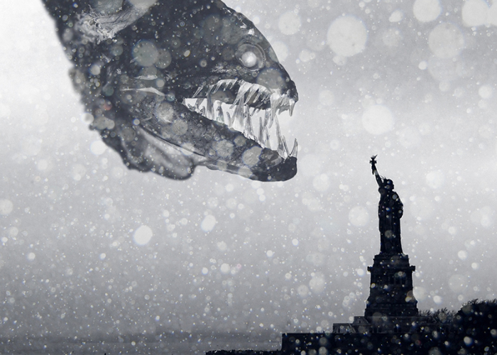 I Made 25 Eyebrow-Lifting Pictures