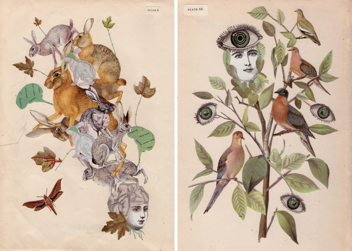 I Created 100 Paper Heads