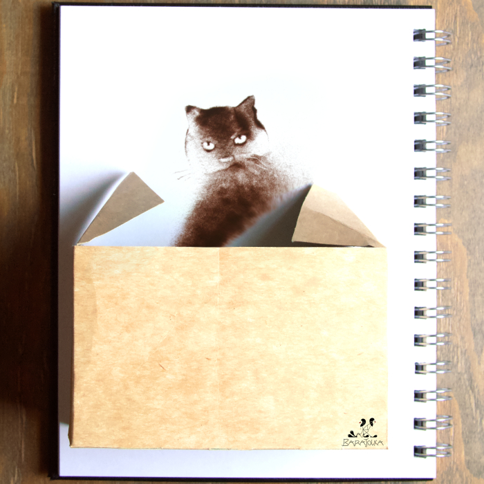 Artistic Team Uses Sand To Tell Visual Stories