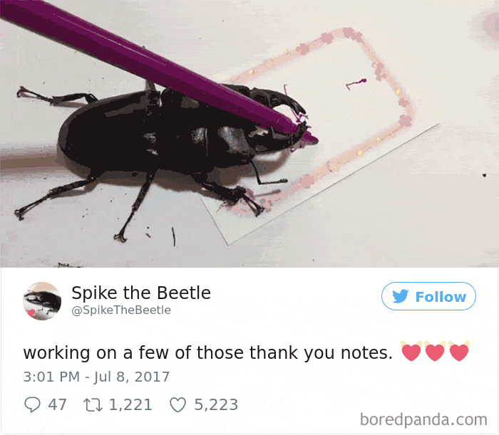 Drawing-bug-spike-the-beetle-japan