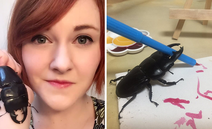 Woman Has Stag Beetle As A Pet And Her Tweets Will Make Your Day