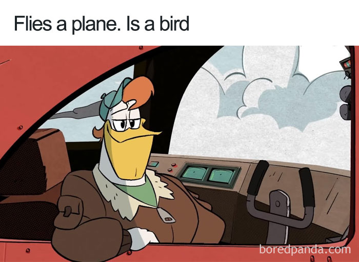 A Bird Pilot