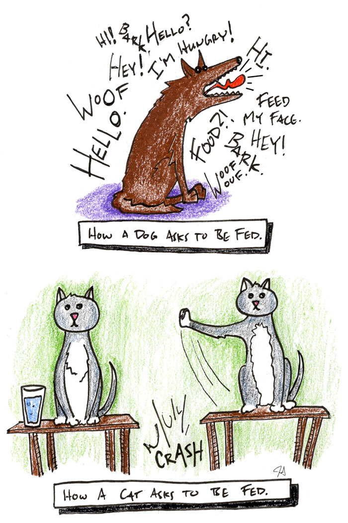 Funny Cats Vs. Dogs Comics