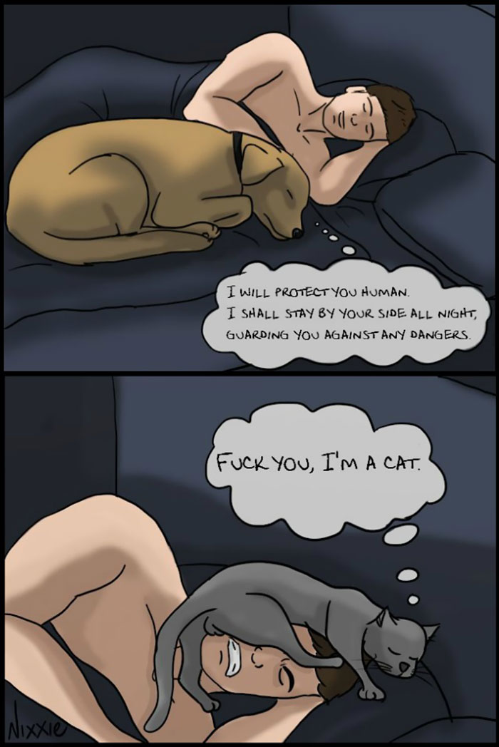Funny Cats Vs. Dogs Comics