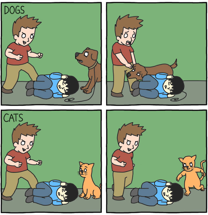 66 Hilarious Differences Between Cats And Dogs